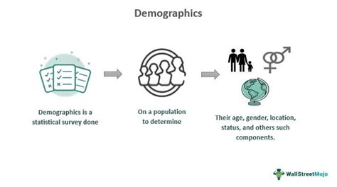 Demographics Meaning Types Effects Examples