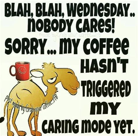 Blah Blah Hump Day Coffee Part 2 Wednesday Morning Greetings Wednesday Morning Quotes