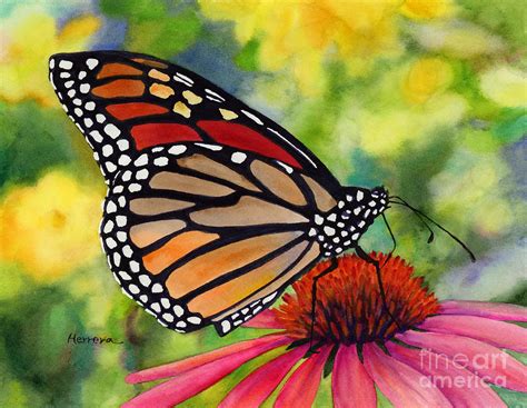 Monarch Butterfly Painting By Hailey E Herrera Fine Art America
