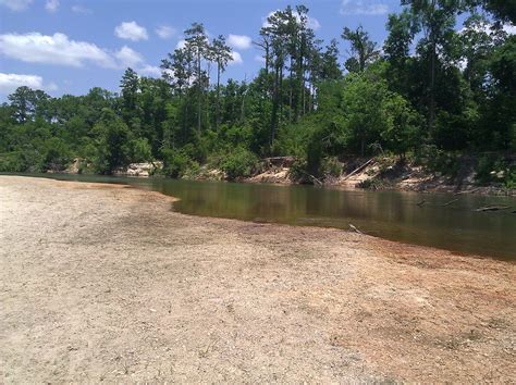 9 Unique Natural Areas To Swim In Louisiana
