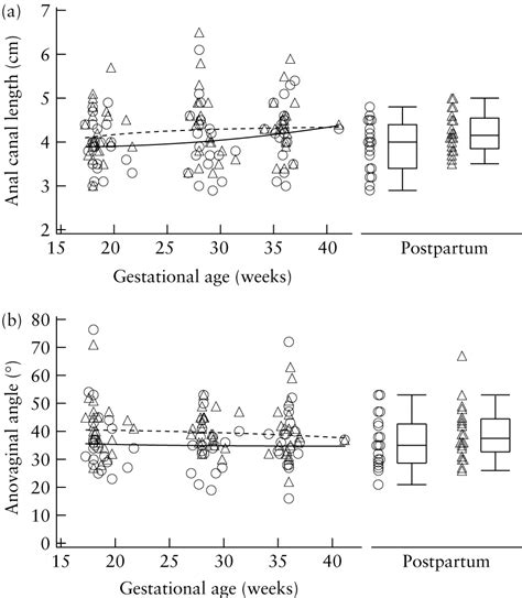 Development Of The Maternal Anal Canal During Pregnancy