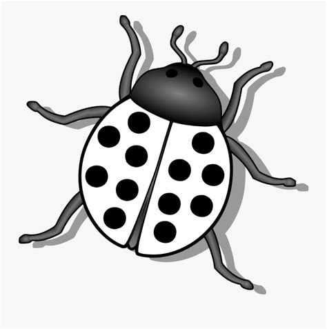 Bug Black And White Free Transparent Clipart Clipartkey