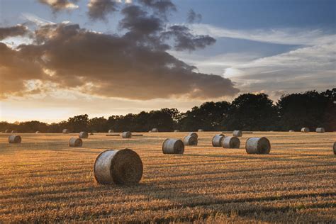 Deadline For Countryside Stewardship Applications Extended Govuk