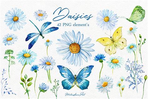 Daisy Clipart Watercolor By Clipart Shop