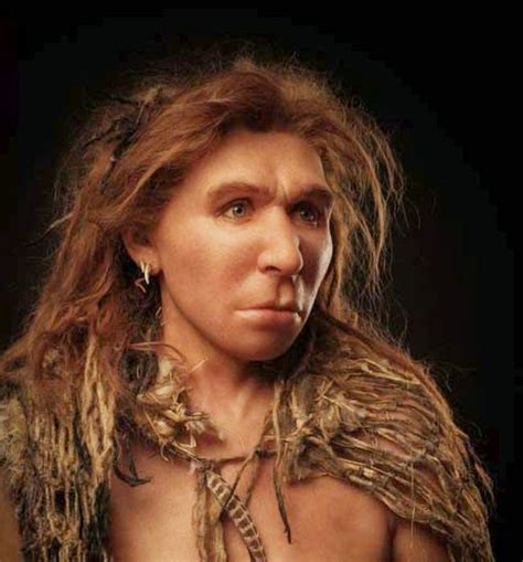 reconstruction of a neanderthal female human evolution hominid ancient humans