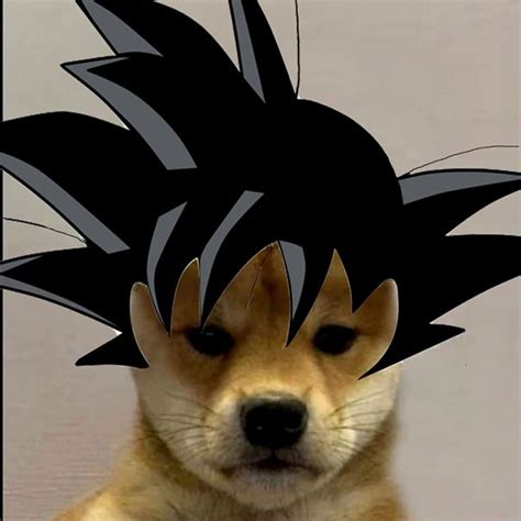 Goku Dogo Dog Images Dog Pictures Anime Animals Cute Animals Dog