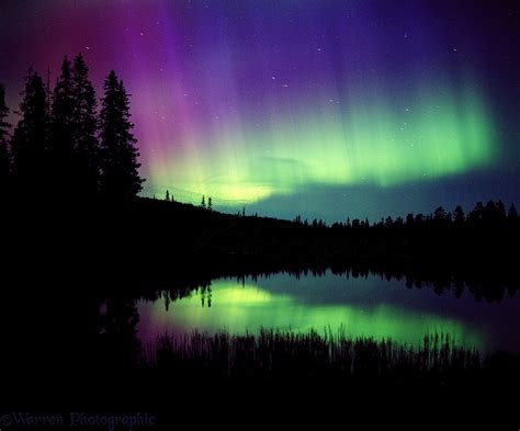 Aurora Borealis Photo Wp01835