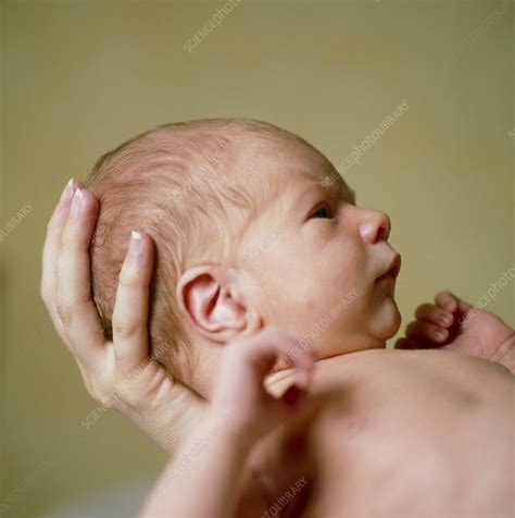 Newborn Baby Stock Image M830 2096 Science Photo Library