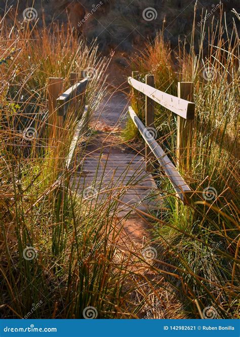 Close Up Of A Wooden Bridge On A River Plenty Of Herbs And Rushes In