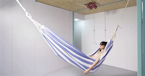 This cat ceiling hammock can help. Space Saving Modern Loft