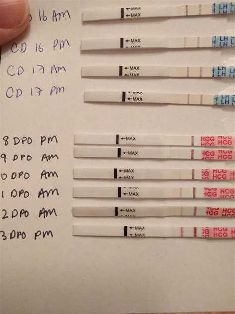 Jan 29, 2016 · a pregnancy test detects the presence of the pregnancy hormone hcg (human chorionic gonadotropin) either in the blood or in the urine. 8-13 DPO Wondfo progression :D : TFABLinePorn