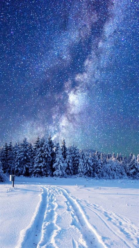Snow Winter Forest Nature Night Sky Stars Milkyway Night Sky