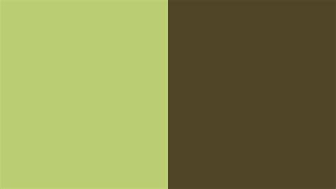 Green And Brown Wallpapers Top Free Green And Brown Backgrounds