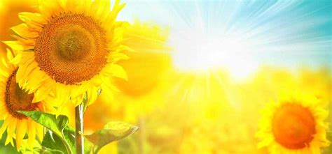 Affordable and search from millions of royalty free images, photos and vectors. Spring Health: 5 Health benefits of Spring season | Skymet ...