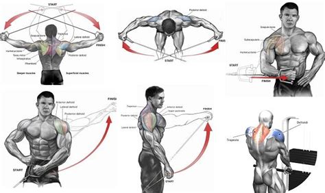 Shoulders Cable Exercises Cable Workout Shoulder Workout Cable