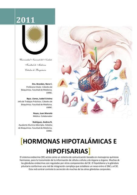 Hormonas Hipotal Micas E Hipofisarias Gen Micas Udocz