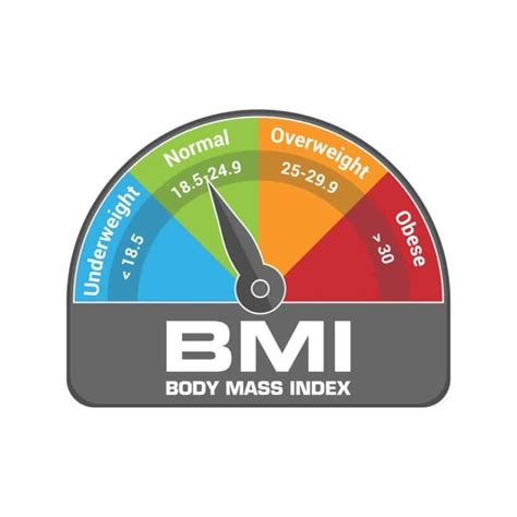 Health Bmi Body Fat And Body Mass Index Calculation Tool