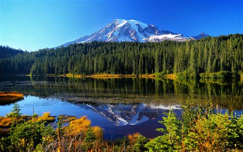 Free Download Wallpaper Mount Rainier National Park Lake Trees