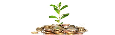 Money Tree Png Money Tree Png Transparent Free For Download On