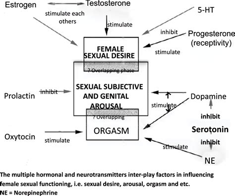 Serotonin Selective Reuptake Inhibitors Ssris And Female Sexual Dysfunction Fsd Hypothesis