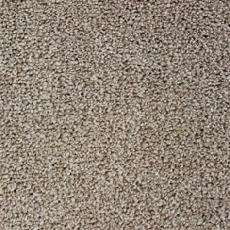 Premium Carpet Beige Jandw Carpets