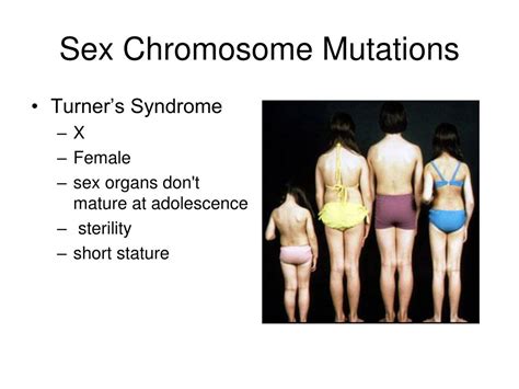 Ppt Mutations Powerpoint Presentation Free Download Id2146301