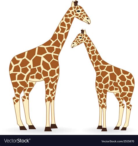 giraffe royalty free vector image vectorstock