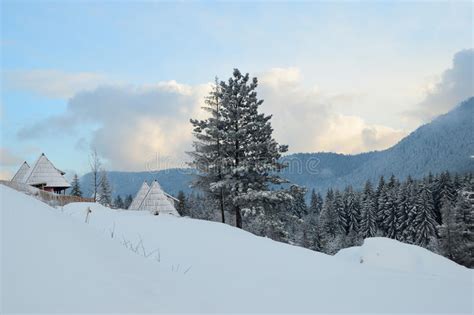 Mountain View In Winter Cabins And Pine Trees Under Snow Stock Image