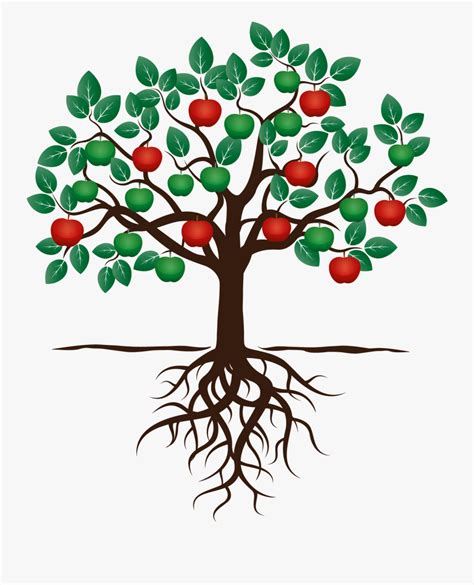 Apple Clipart Tree Apple Tree With Roots Free Transparent Clipart