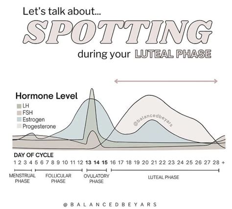Spotting After Ovulation Why And How To Improve It