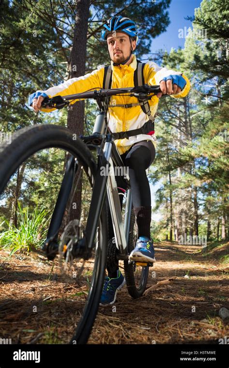 Male Mountain Biker Riding Bicycle In The Forest Stock Photo Alamy