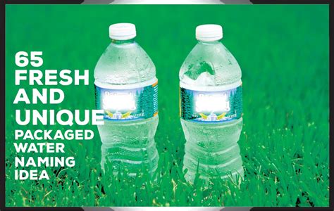 65 Good Packaged Bottled Water Company Names Unique