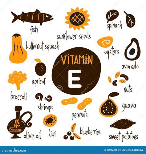 Vitamin E Food Sources Set Vector Cartoon Illustration Isolated On