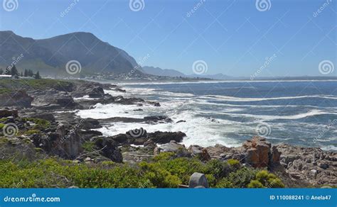 Hermanus South Africa Walk The Cliff Path To Grotto Beach And Enjoy
