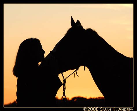 The Bond Between Horse And Human Angel And Her Owner Have Flickr