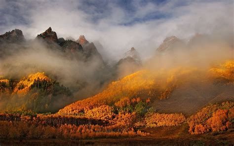 1600x1000 Fall Forest Mountain Nature Mist Colorado Landscape Trees