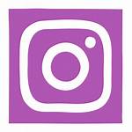 Insta Social Network Icon Gram Instagram Editor