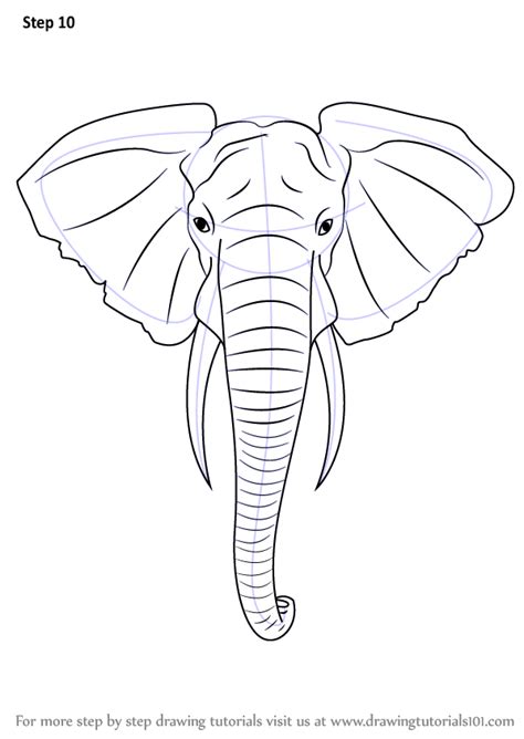 Learn how to draw animals from the farm and the wild using my simple illustrated method. Learn How to Draw an Elephant Head (Zoo Animals) Step by ...