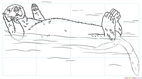 How To Draw A Sea Otter Step By Step Drawing Tutorials