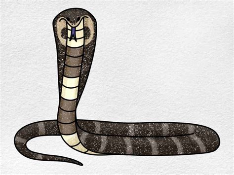 How To Draw A King Cobra Helloartsy
