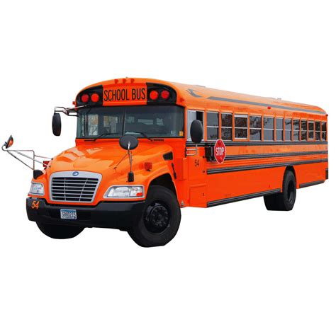 Download Orange School Bus On White Background Wallpaper