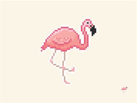 Flamingo Pixel Kassy Oshea