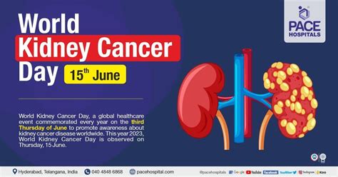 World Kidney Cancer Day 15 June 2023 Necessity Theme And History