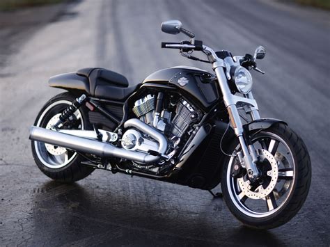 Black Rider Harley V Rod Muscle Vrscf
