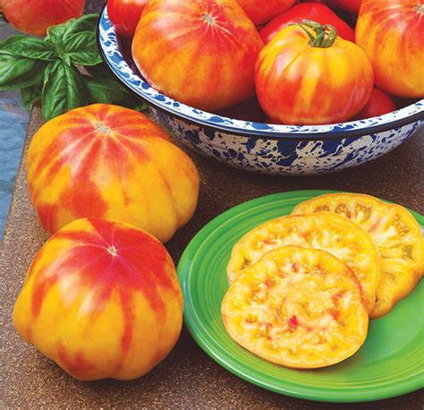 Best Tomato Varieties To Grow Mother Earth News