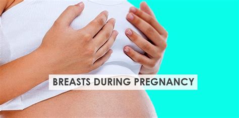 9 Common Breast Changes In Pregnancy Stork Mama
