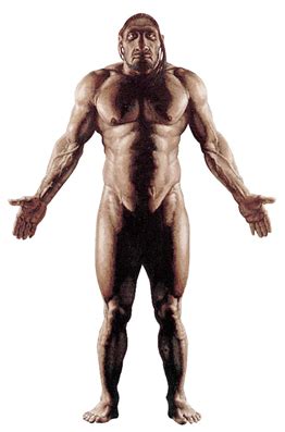 Neanderthal Man Full Body