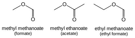 Ester Molecule Structure