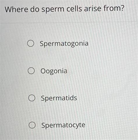 Answered Where Do Sperm Cells Arise From Spermatogonia Oogonia Kunduz