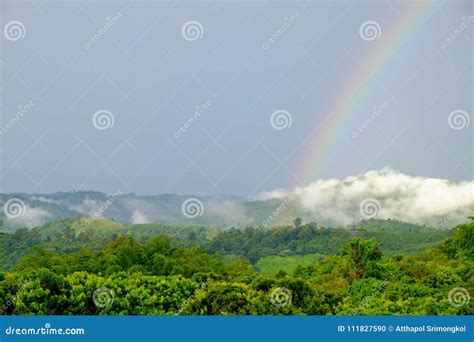 A Rainbow That Occurred After Rain Which Occurs At The Forest On The